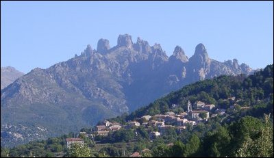 nihi/Cigale tourtourelle