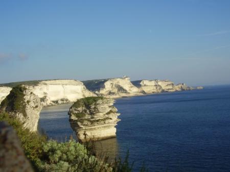 nihi//LES FOUGERES DE BAVELLA